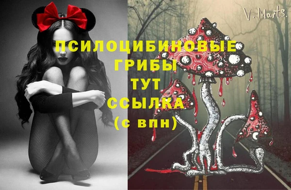 mdma Инсар
