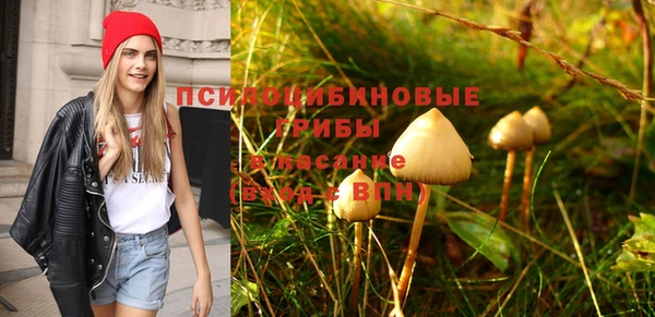 не бодяженный Инта
