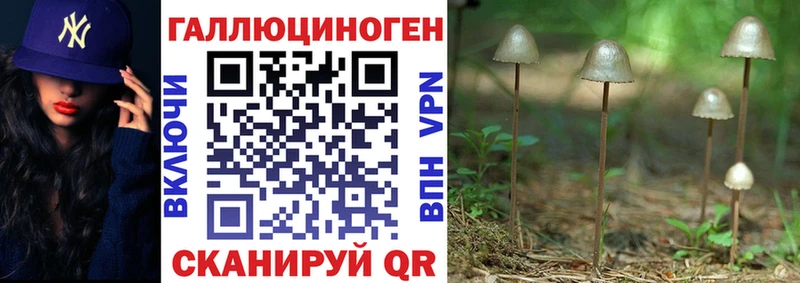 где найти   mega сайт  Галлюциногенные грибы мицелий  нарко площадка как зайти  Карталы 